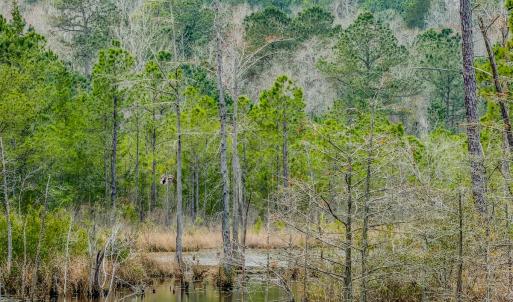 Photo #20 of Off of Woodwind Dr, Vass, NC 134.5 acres