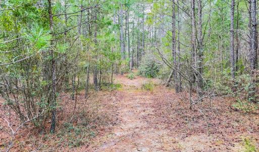 Photo #21 of Off of Woodwind Dr, Vass, NC 134.5 acres