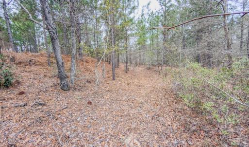 Photo #23 of Off of Woodwind Dr, Vass, NC 134.5 acres