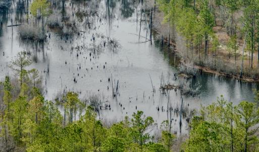 Photo #24 of Off of Woodwind Dr, Vass, NC 134.5 acres