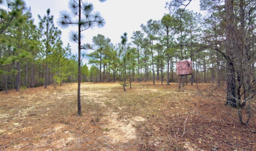 Photo #27 of Off of Woodwind Dr, Vass, NC 134.5 acres