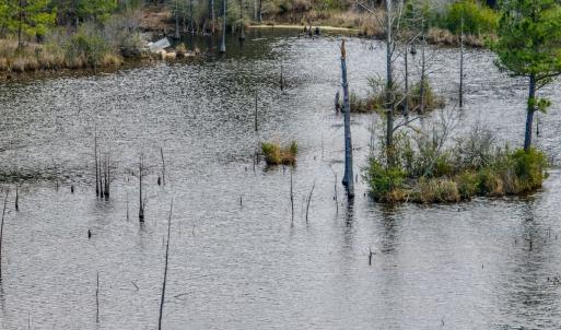 Photo #30 of Off of Woodwind Dr, Vass, NC 134.5 acres