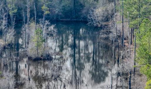 Photo #38 of Off of Woodwind Dr, Vass, NC 134.5 acres