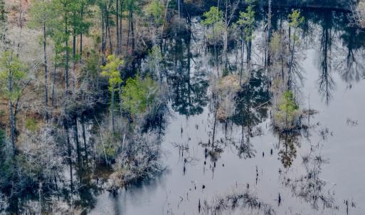 Photo #40 of Off of Woodwind Dr, Vass, NC 134.5 acres