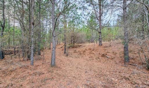 Photo #5 of Off of Woodwind Dr, Vass, NC 134.5 acres
