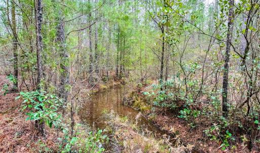 Photo #50 of Off of Woodwind Dr, Vass, NC 134.5 acres
