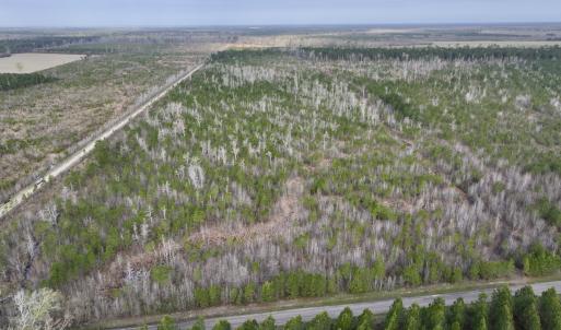 Photo #1 of Lot 5 Guinea Mill Rd, Ernul, NC 37.0 acres