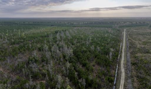 Photo #6 of Lot 5 Guinea Mill Rd, Ernul, NC 37.0 acres