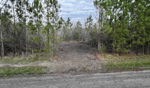 Photo #13 of Lot 5 Guinea Mill Rd, Ernul, NC 37.0 acres