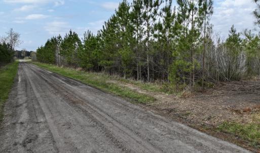 Photo #14 of Lot 5 Guinea Mill Rd, Ernul, NC 37.0 acres