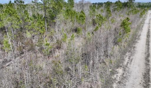 Photo #23 of Lot 5 Guinea Mill Rd, Ernul, NC 37.0 acres