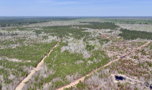 Photo #11 of Lot 15 Guinea Mill Rd, Ernul, NC 55.0 acres