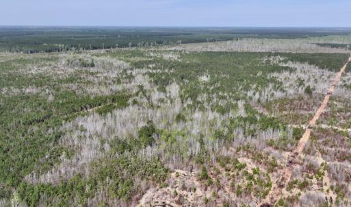 Photo #12 of Lot 15 Guinea Mill Rd, Ernul, NC 55.0 acres