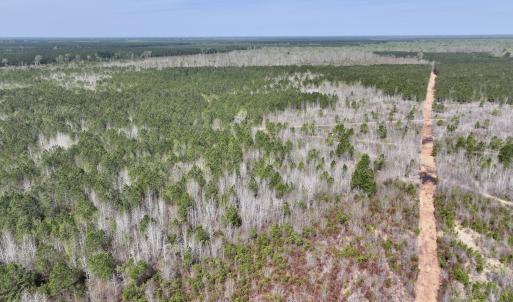 Photo #13 of Lot 15 Guinea Mill Rd, Ernul, NC 55.0 acres