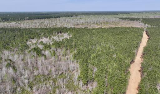 Photo #14 of Lot 15 Guinea Mill Rd, Ernul, NC 55.0 acres