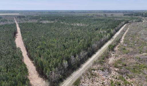 Photo #15 of Lot 15 Guinea Mill Rd, Ernul, NC 55.0 acres
