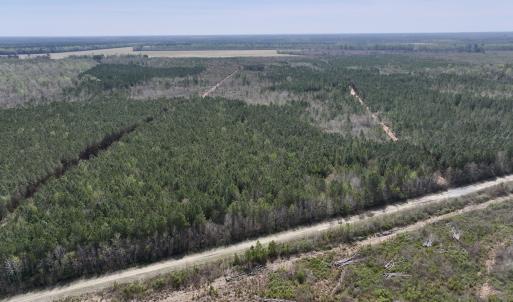 Photo #1 of Lot 15 Guinea Mill Rd, Ernul, NC 55.0 acres