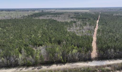 Photo #2 of Lot 15 Guinea Mill Rd, Ernul, NC 55.0 acres