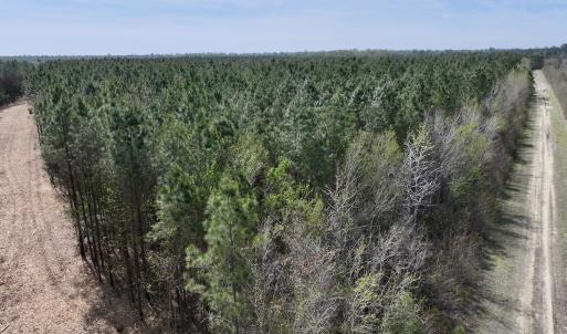 Photo #3 of Lot 15 Guinea Mill Rd, Ernul, NC 55.0 acres