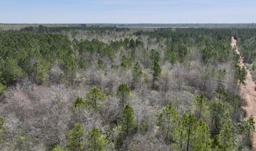 Photo #5 of Lot 15 Guinea Mill Rd, Ernul, NC 55.0 acres