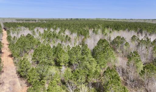 Photo #6 of Lot 15 Guinea Mill Rd, Ernul, NC 55.0 acres