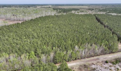 Photo #2 of Lot 23 Guinea Mill Rd, Ernul, NC 25.0 acres