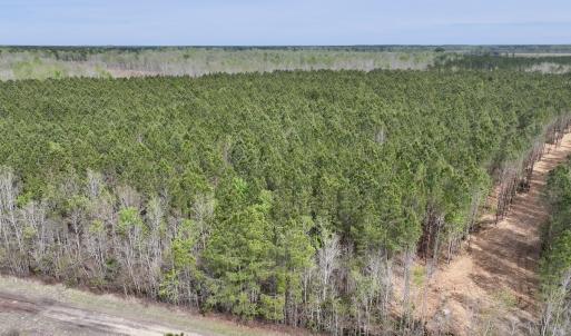 Photo #3 of Lot 23 Guinea Mill Rd, Ernul, NC 25.0 acres