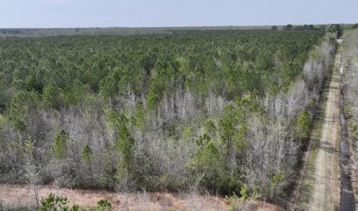 Photo #8 of Lot 23 Guinea Mill Rd, Ernul, NC 25.0 acres