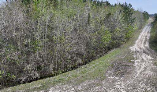 Photo #11 of Lot 23 Guinea Mill Rd, Ernul, NC 25.0 acres