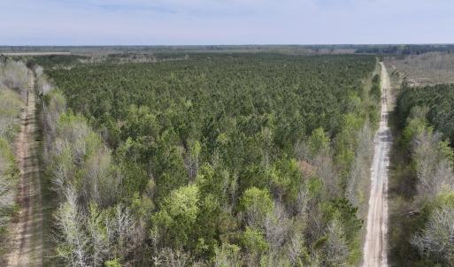 Photo #12 of Lot 23 Guinea Mill Rd, Ernul, NC 25.0 acres