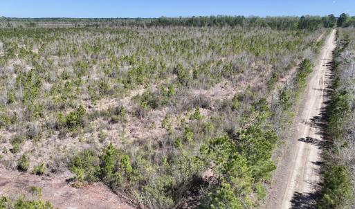 Photo #13 of Lot 11 Guinea Mill Rd, Ernul, NC 35.0 acres