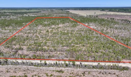 Photo #15 of Lot 11 Guinea Mill Rd, Ernul, NC 35.0 acres