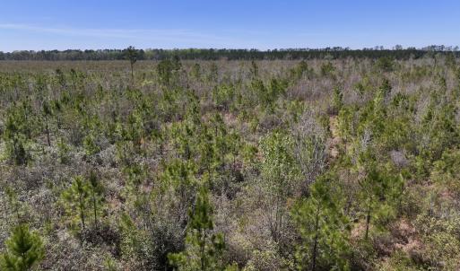 Photo #18 of Lot 11 Guinea Mill Rd, Ernul, NC 35.0 acres