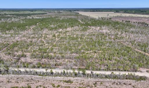 Photo #1 of Lot 11 Guinea Mill Rd, Ernul, NC 35.0 acres