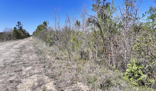 Photo #2 of Lot 11 Guinea Mill Rd, Ernul, NC 35.0 acres