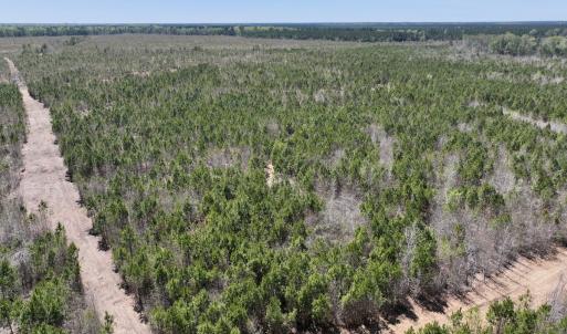 Photo #3 of Lot 11 Guinea Mill Rd, Ernul, NC 35.0 acres