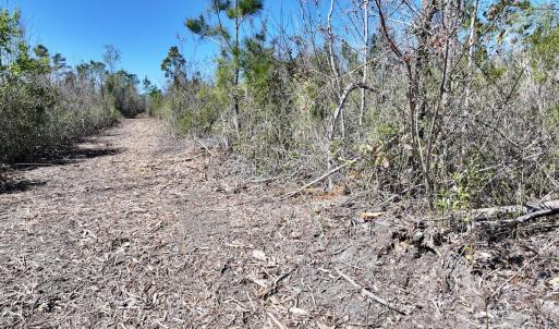 Photo #4 of Lot 11 Guinea Mill Rd, Ernul, NC 35.0 acres