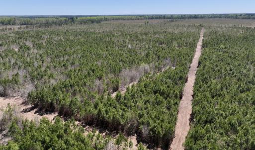 Photo #7 of Lot 11 Guinea Mill Rd, Ernul, NC 35.0 acres