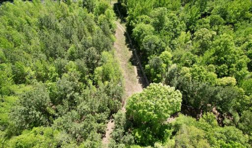 Photo #10 of Off of NC 109, Wadesboro, NC 10.0 acres
