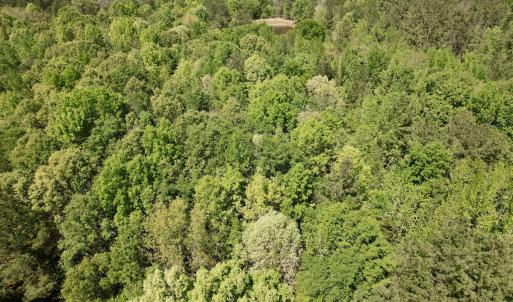 Photo #12 of Off of NC 109, Wadesboro, NC 10.0 acres