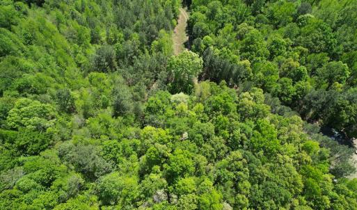 Photo #13 of Off of NC 109, Wadesboro, NC 10.0 acres