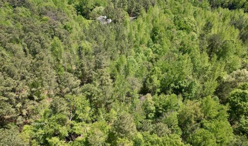 Photo #14 of Off of NC 109, Wadesboro, NC 10.0 acres