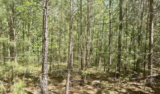 Photo #15 of Off of NC 109, Wadesboro, NC 10.0 acres