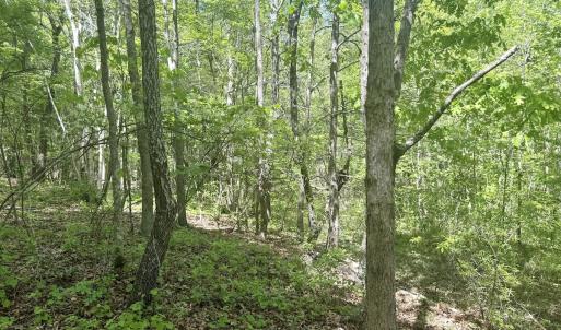 Photo #17 of Off of NC 109, Wadesboro, NC 10.0 acres