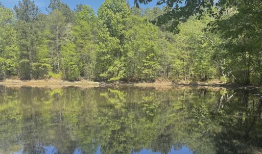 Photo #18 of Off of NC 109, Wadesboro, NC 10.0 acres