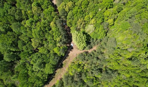 Photo #19 of Off of NC 109, Wadesboro, NC 10.0 acres