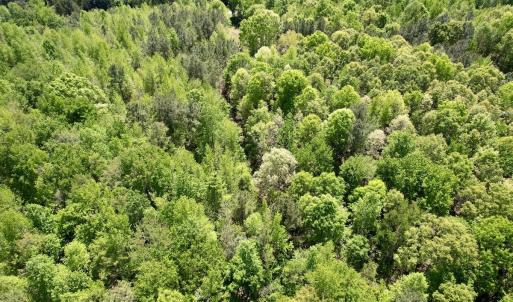 Photo #20 of Off of NC 109, Wadesboro, NC 10.0 acres