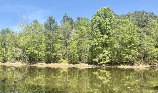 Photo #23 of Off of NC 109, Wadesboro, NC 10.0 acres