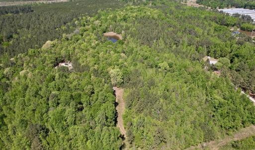 Photo #3 of Off of NC 109, Wadesboro, NC 10.0 acres