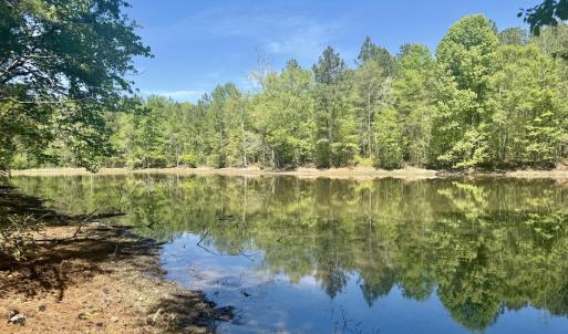 Photo #31 of Off of NC 109, Wadesboro, NC 10.0 acres